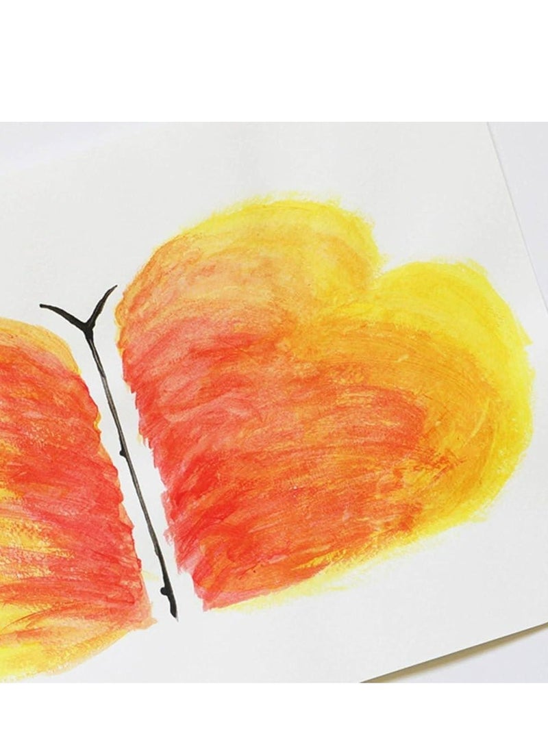 بريمو مجموعة ألوان مائية عالية الجودة مع فرشاة طلاء من بريمو 110A12B من 12 لونًا - متعددة الألوان صناعه ايطاليه - Image 4